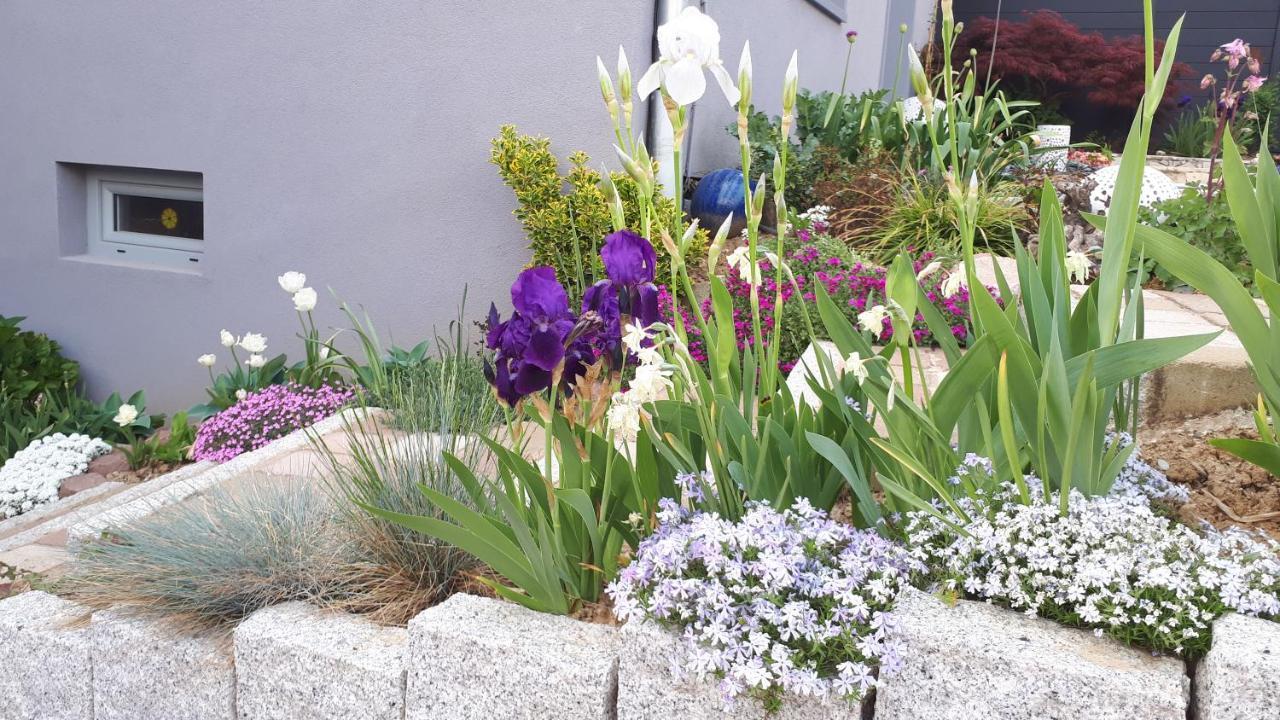 Gite Terre D'Helene 4 A 5 Pers Proche Strasbourg 42 M2, 3 Etoiles, Wifi, Paisible, Jardin, Proche Commerces,16 Atouts, Animaux Acceptes Berstett Exterior photo