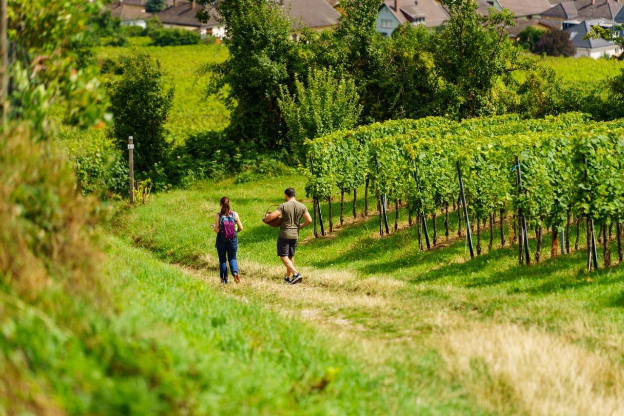 Gite Terre D'Helene 4 A 5 Pers Proche Strasbourg 42 M2, 3 Etoiles, Wifi, Paisible, Jardin, Proche Commerces,16 Atouts, Animaux Acceptes Berstett Exterior photo